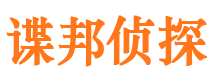 大东侦探公司